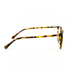 Load image into Gallery viewer, MAXWELL - AMBER TORTOISE + CLEAR
