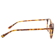 Load image into Gallery viewer, JAXSON - AMBER TORTOISE + CLEAR
