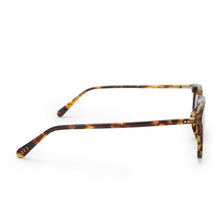 Load image into Gallery viewer, MAXWELL - AMBER TORTOISE + GREY POLARIZED
